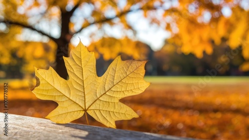 A close-up photo of a bright yellow autumn leaf with intricate veins. The leaf is placed on a wooden surface. In the background, there's a blurred bokeh background with an orange tree and its leaves. 