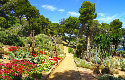 Photography cactus species, pines and succulents in the botanical garden Jardins de Cap Roig
