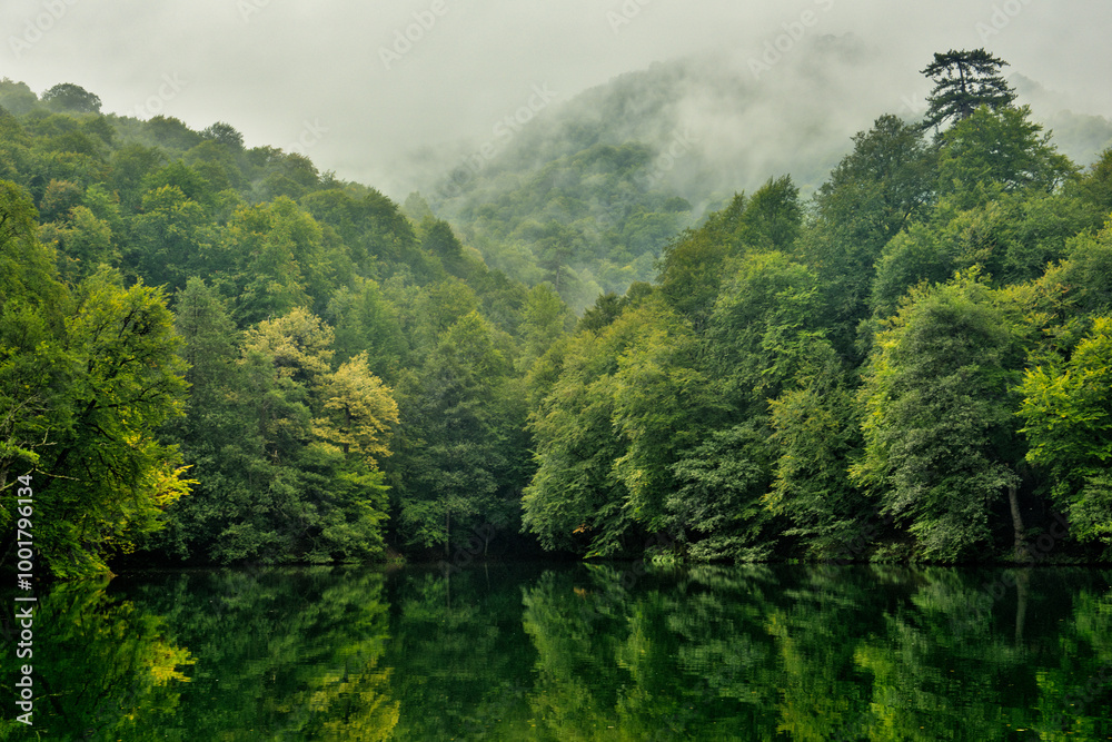 Serene mist-covered forest surrounding a still, reflective lake, with lush green trees and fog rolling over the hills, creating a peaceful and tranquil natural scene deep within a forested landscape