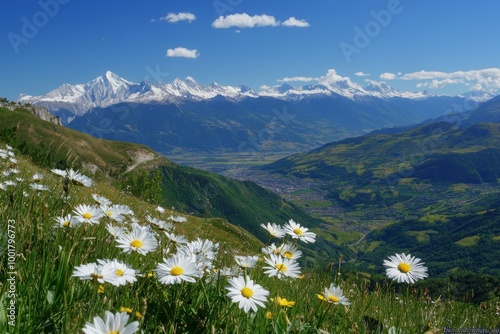 The high peaks, Muottas Muragl, Samedan, Graubunden Canton, and Engadine cascade in front of a backdrop of green meadows and flowers photo