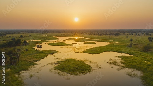 Serene Wetlands at Sunset in the Lush African Wilderness