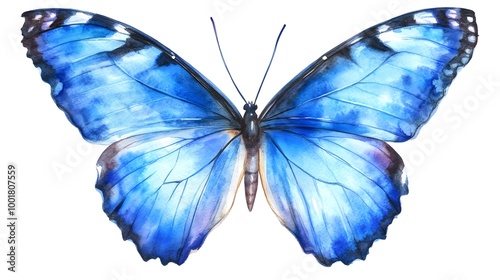 Watercolor Blue Butterfly 