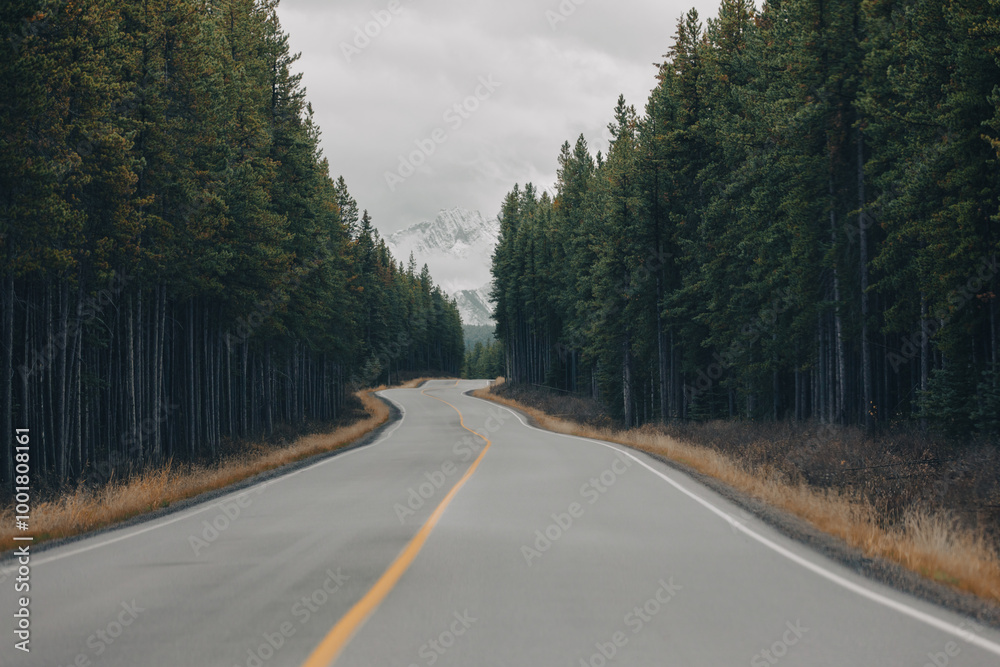 Naklejka premium low angle view of a curvy road in the wilderness area with a pine tree forest and a tall mountain in the distance with snow on a cloudy day