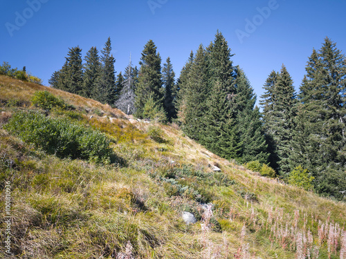 Autumn panorama of Vitosha Mountain, Bulgaria