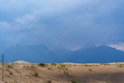 Sand dunes with distant misty mountains under cloudy sky