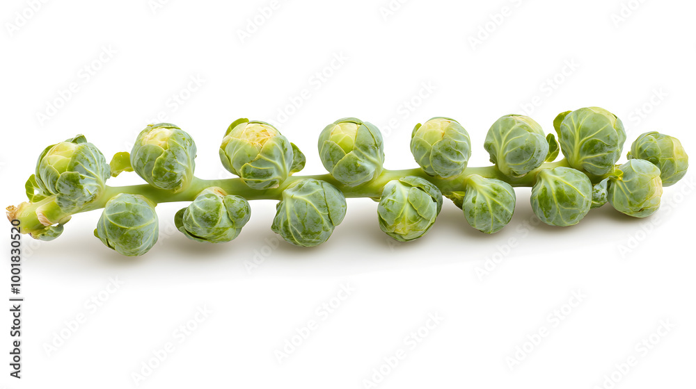 Brussels sprouts still attached to the stalk