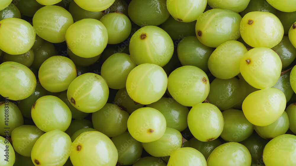 a close-up, top-down view, texture background of gooseberry puree spread across the entire frame, showcasing its pale green color and smooth texture a close-up, top-down view, texture background of gooseberry puree spread across the entire frame, showcasing its pale green color and smooth texture