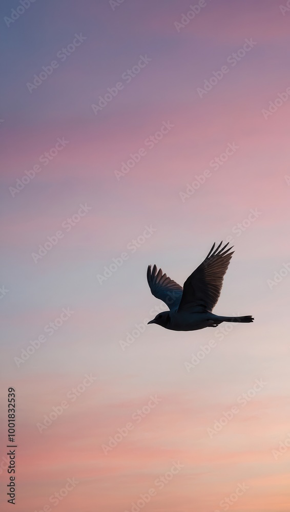 Obraz premium Seagull flying at sunset with pink and blue sky gradient