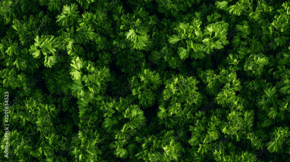 a close-up, top-down view, texture background of parsley puree spread across the entire frame, featuring its vibrant green color and smooth texture a close-up, top-down view, texture background of parsley puree spread across the entire frame, featuring its vibrant green color and smooth texture