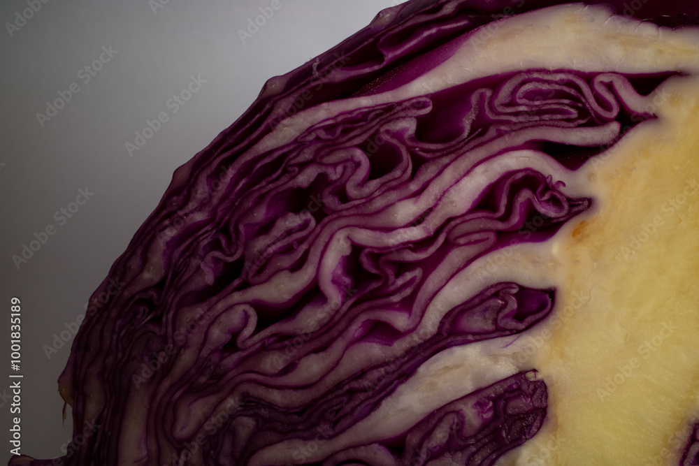 Obraz premium Close-Up Views of Fresh Purple Cabbage Texture