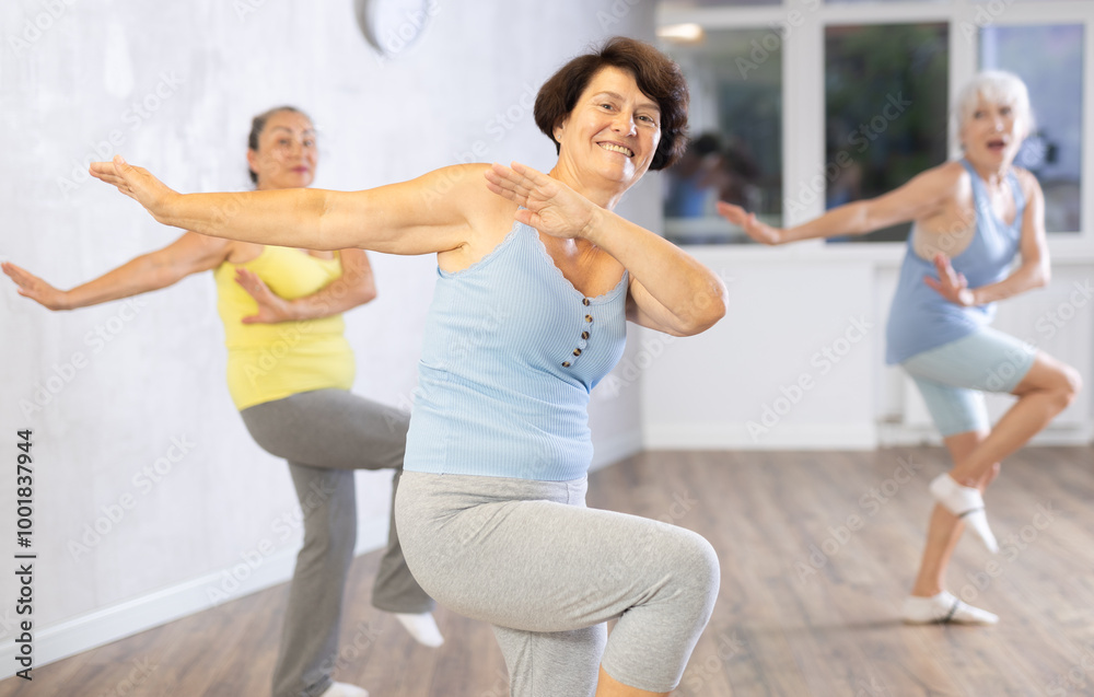 Obraz premium Three elderly women are learning sports Latin American dances in studio class. Joint pastime, active hobby