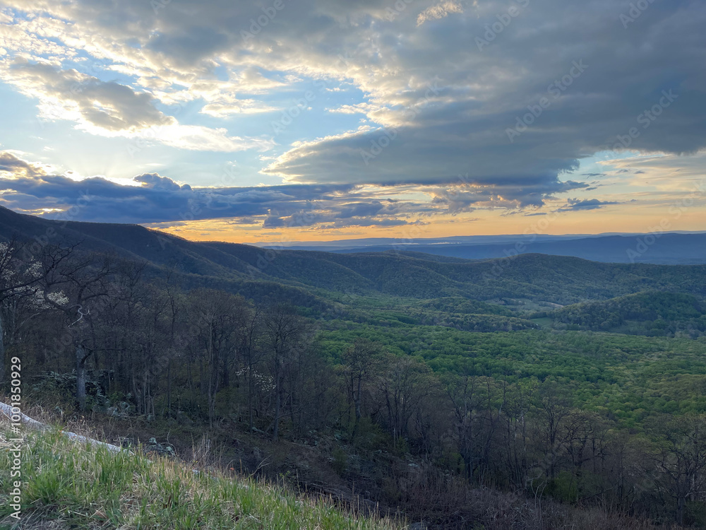 At dusk, Skyline Drive in Shenandoah National Park reveals rolling green hills bathed in soft blue and purple hues. The fading light casts a peaceful glow over the landscape as day turns to night. At dusk, Skyline Drive in Shenandoah National Park reveals rolling green hills bathed in soft blue and purple hues. The fading light casts a peaceful glow over the landscape as day turns to night.