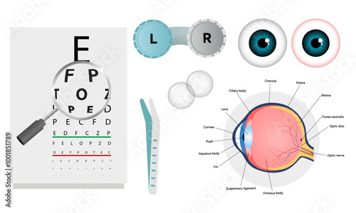 Ophthalmology oculist set vision correction eye anatomy with exam table 