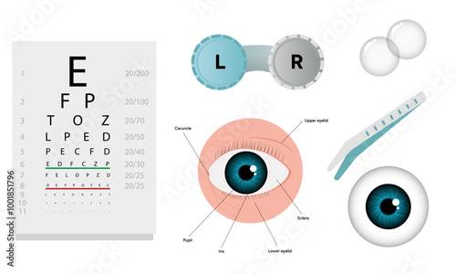 Ophthalmology oculist set vision correction eye anatomy with exam table 