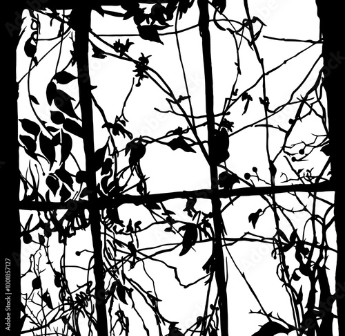 weeds tangled vines creepy png transparent