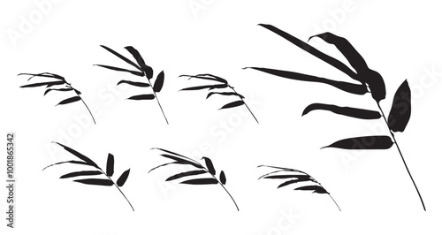 Branch of bamboo leaves on white background isolated. Vector illustration line art drawing. Botanical hand drawn element. Black and white element.