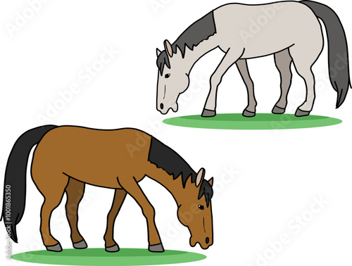 ２頭の馬