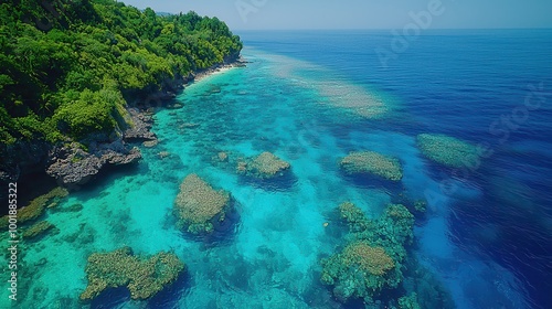 Serene Tropical Waters with Coral Reefs and Greenery