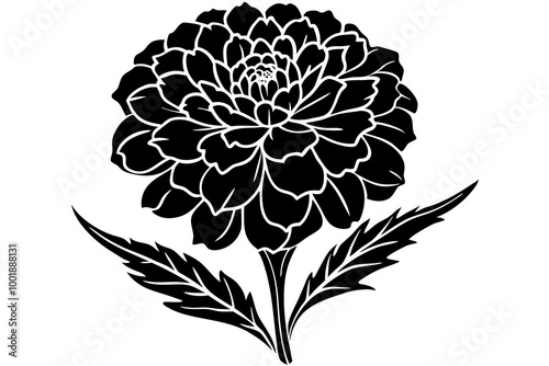 marigold silhouette icon white background