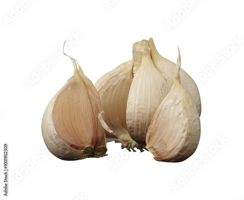 bunch of garlic isolated photo