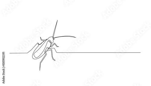 continuous line cockroach.pest cockroach drawn in one line.single line vector illustration
