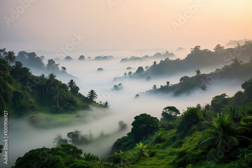 Mystical Tropical Valley Covered in Haze Surrounded by Lush Greenery and Foggy Landscapes