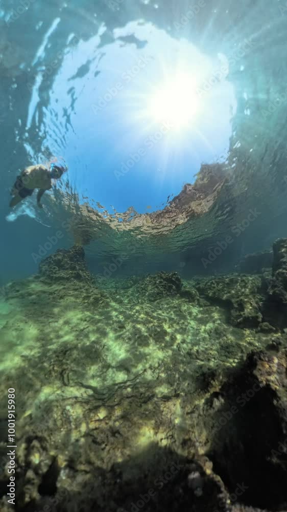 Vertical video. A Man swims over a Rocky Seabed, illuminated by Sunlight from above. The scene is captured in a wide-angle view, showing the clear water and rocky terrain. Vertical video. A Man swims over a Rocky Seabed, illuminated by Sunlight from above. The scene is captured in a wide-angle view, showing the clear water and rocky terrain.