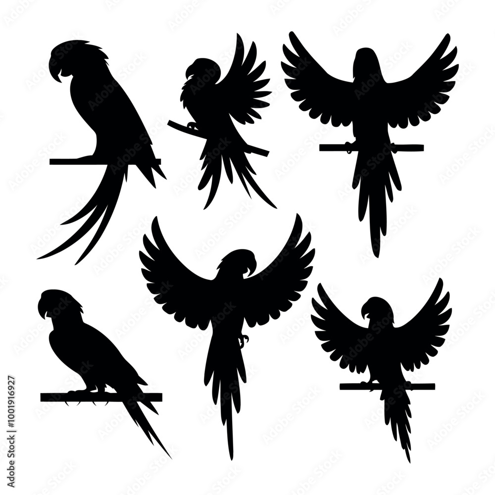 Obraz premium set of eagle