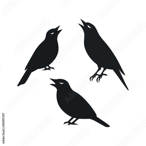 Wallpaper Mural silhouette of a crow Torontodigital.ca