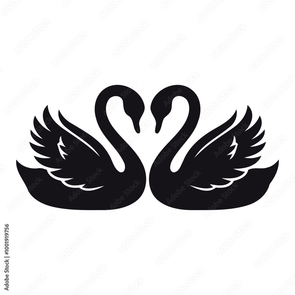 Fototapeta premium swans on the water