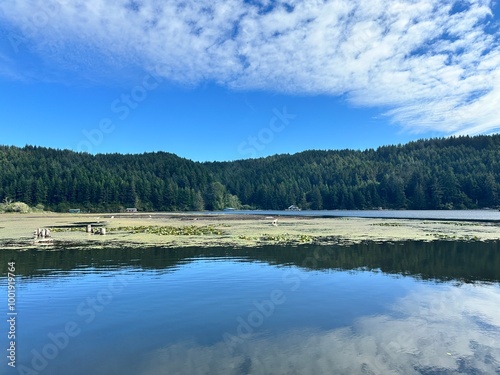 Oregon coast photo