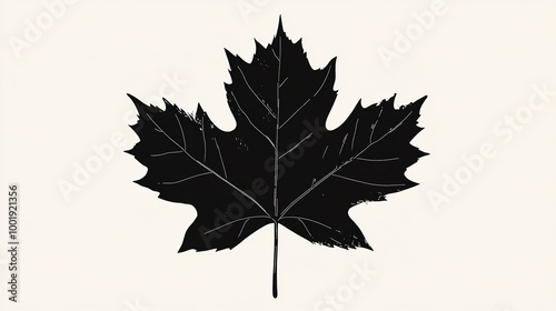 An elegant maple leaf silhouette vector art illustration, capturing the intricate shape and details of the leaf. The design features a bold black outline against a transparent background,  photo