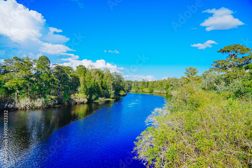 The landscape of Hillsborough river and lettuce park at Tampa, Florida 