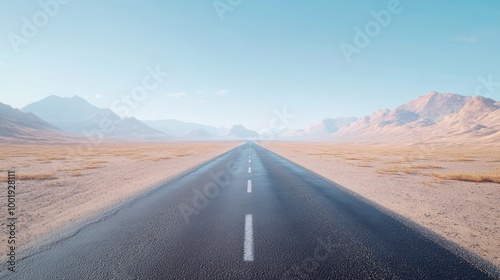 A straight, empty road cutting through a vast