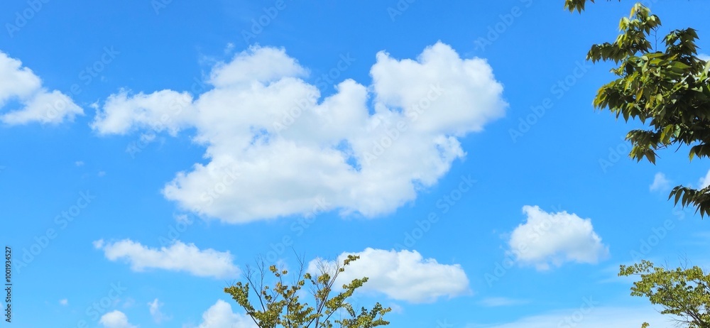 Obraz premium sky and clouds