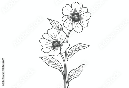 Wallpaper Mural Serene Botanical Sketches: Simple Black & White Bouquet Art for Coloring Books - Mindfulness Flower Illustrations for Adults & Children  Torontodigital.ca