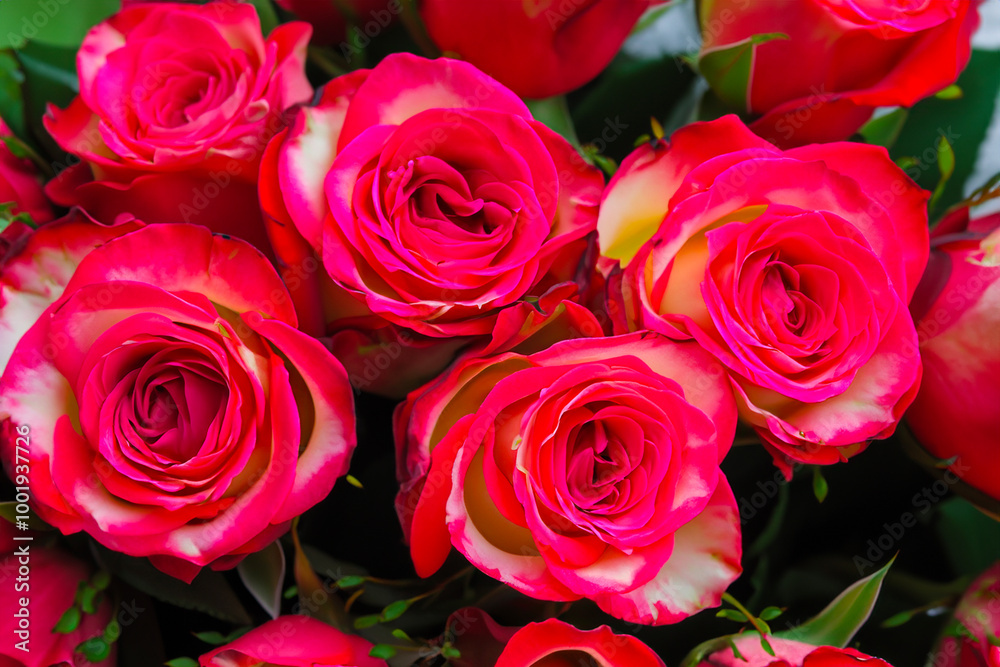 Obraz premium bunch of roses