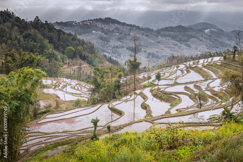 Close up on the terraces full with water in Laohuzui scenic area, Yunnan, China photo