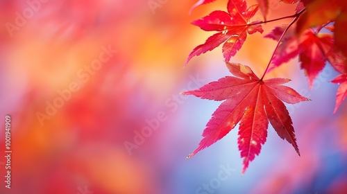 Gorgeous Autumn Red Maple Leaf Forest Background Picture: A Captivating Seasonal Display. Admire the Beauty and Tranquility.