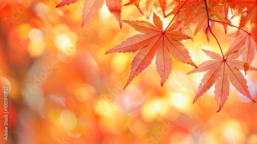 Gorgeous Autumn Red Maple Leaf Forest Background Picture: A Captivating Seasonal Display. Admire the Beauty and Tranquility.