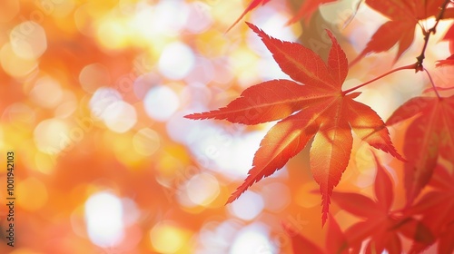 Gorgeous Autumn Red Maple Leaf Forest Background Picture: A Captivating Seasonal Display. Admire the Beauty and Tranquility.