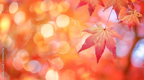 Gorgeous Autumn Red Maple Leaf Forest Background Picture: A Captivating Seasonal Display. Admire the Beauty and Tranquility.