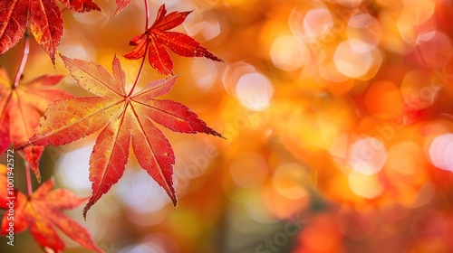 Gorgeous Autumn Red Maple Leaf Forest Background Picture: A Captivating Seasonal Display. Admire the Beauty and Tranquility.