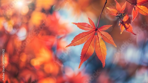 Gorgeous Autumn Red Maple Leaf Forest Background Picture: A Captivating Seasonal Display. Admire the Beauty and Tranquility.