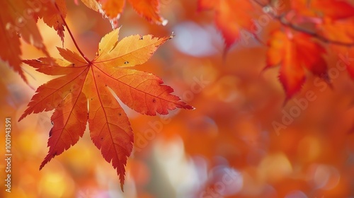 Gorgeous Autumn Red Maple Leaf Forest Background Picture: A Captivating Seasonal Display. Admire the Beauty and Tranquility.