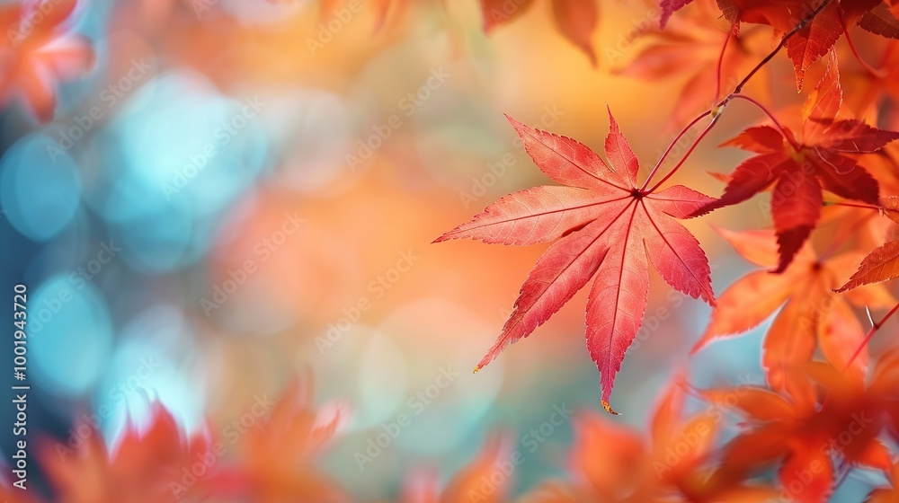 Gorgeous Autumn Red Maple Leaf Forest Background Picture: A Captivating Seasonal Display. Admire the Beauty and Tranquility. Gorgeous Autumn Red Maple Leaf Forest Background Picture: A Captivating Seasonal Display. Admire the Beauty and Tranquility.