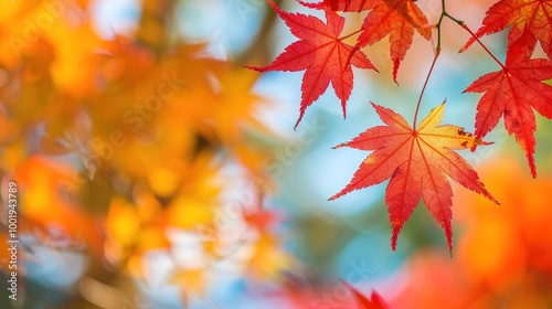 Gorgeous Autumn Red Maple Leaf Forest Background Picture: A Captivating Seasonal Display. Admire the Beauty and Tranquility.