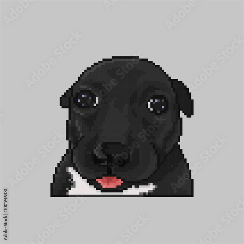 Baby dog ​​with funny face, meme pixel art illustration