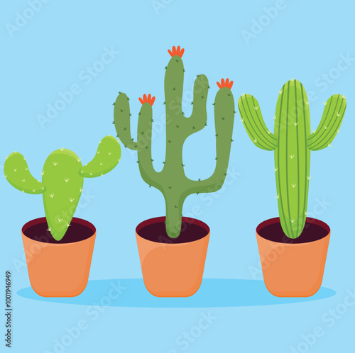 3 various types of ornamental cactus plants.
