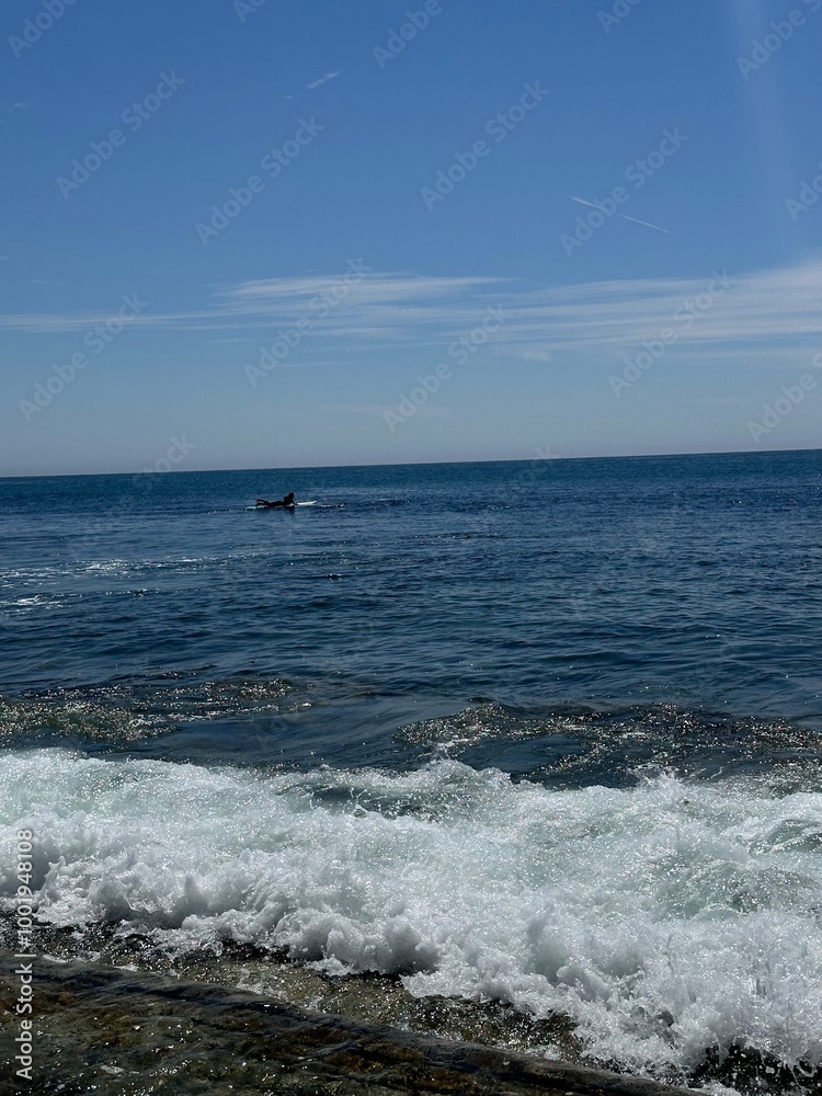 Fototapeta premium surf